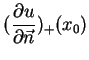 $\displaystyle (\frac{\partial u}{\partial \vec{n}})_{+}(x_{0})$