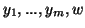 $y_1,...,y_m,w$