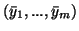 $(\bar{y}_1,...,\bar{y}_m)$