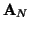 ${\bf A}_N$