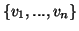 $\{ v_1,...,v_n\}$