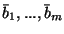 $\bar{b}_1,...,\bar{b}_m$